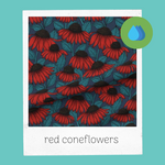 Load image into Gallery viewer, red coneflowers
