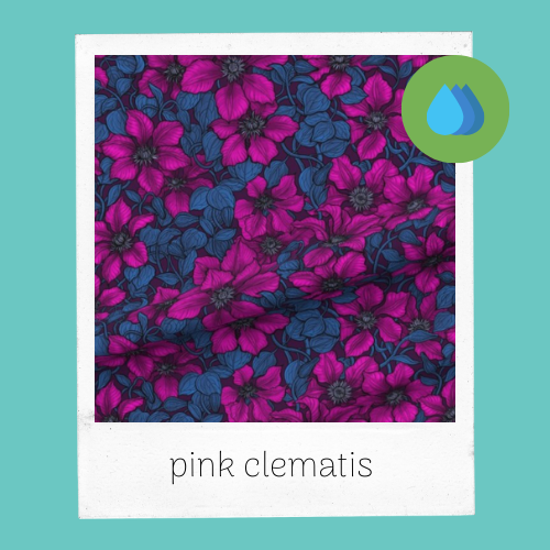 Pink Clematis
