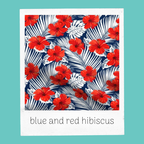 blue and red hibiscus