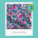 Load image into Gallery viewer, june evening
