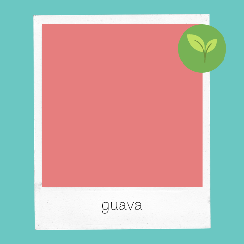 Guava